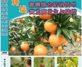 歐甘種植技術(shù)柑橘篇_庫(kù)蒂尼奧接近加盟切爾西