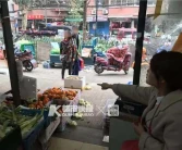 杭州柑橘樹苗類新品種_桔子酒店跟桔子水晶酒店有什么區(qū)別