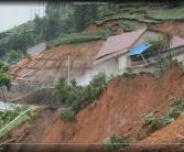 石門柑橘種植技術(shù)視頻_有人在黃昏里拍過照片嗎